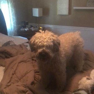 Meet your Posher, Doug